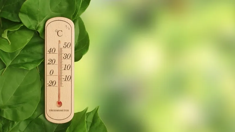 Ứng dụng thực tế Ứng dụng thực tế