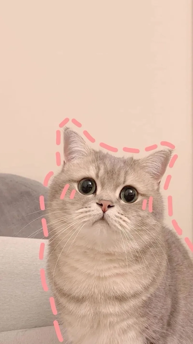 Hình ảnh cặp đôi yêu nhau chất anime tạo ra sự kết hợp giữa tình yêu và phong cách mạnh mẽ.