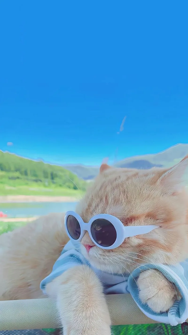 Hình ảnh cặp đôi yêu nhau anime cute là sự thể hiện tình cảm đáng yêu của các nhân vật.