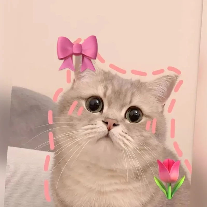 Ảnh anime cặp đôi cute mang đến hình ảnh tình yêu trong sáng, dễ thương.