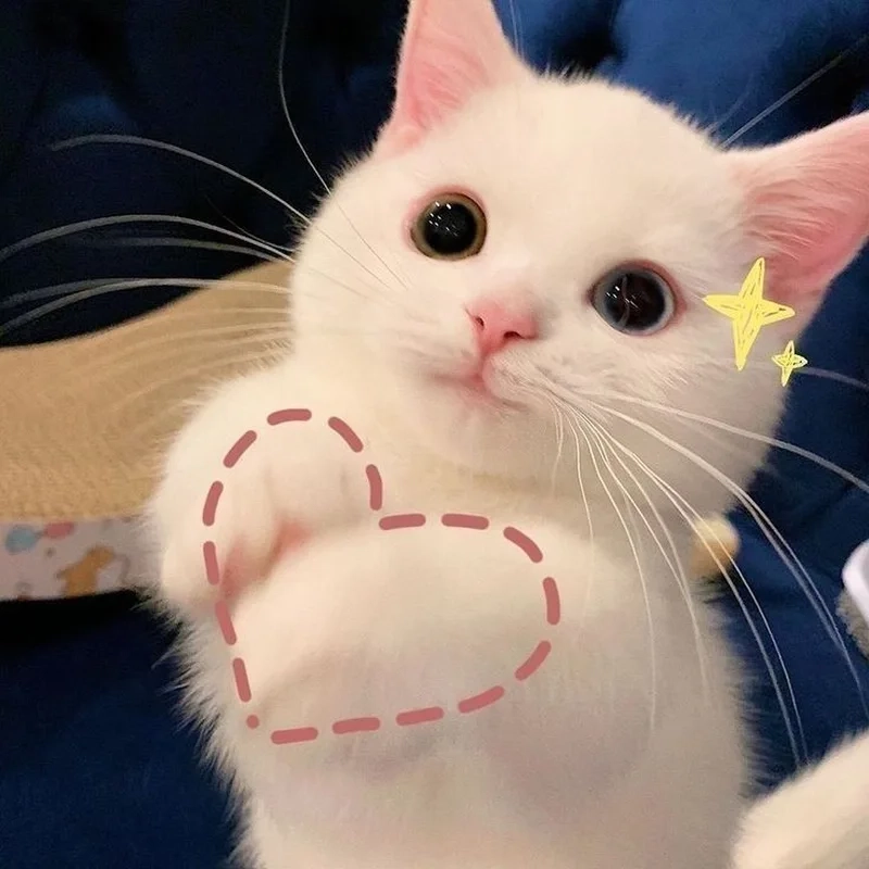 Ảnh anime cặp đôi ngầu thể hiện sự mạnh mẽ, cá tính và lãng mạn.