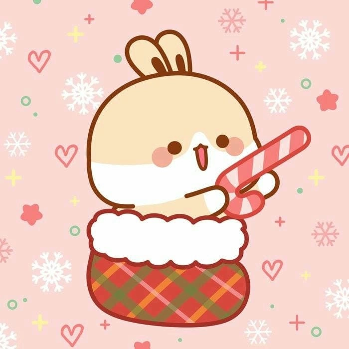 Tuyển chọn hình con thỏ cute đáng yêu