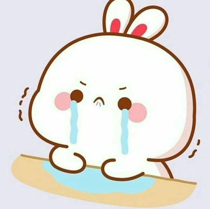 Cười té ghế với con thỏ cute phô mai que