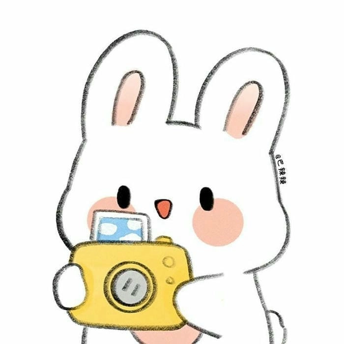 Tổng hợp những chú thỏ cute độc lạ