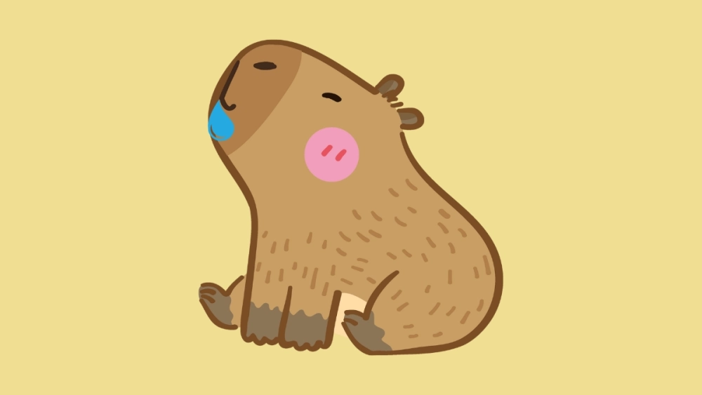 Ngắm nhìn avatar avatar capybara chibi cute độc lạ