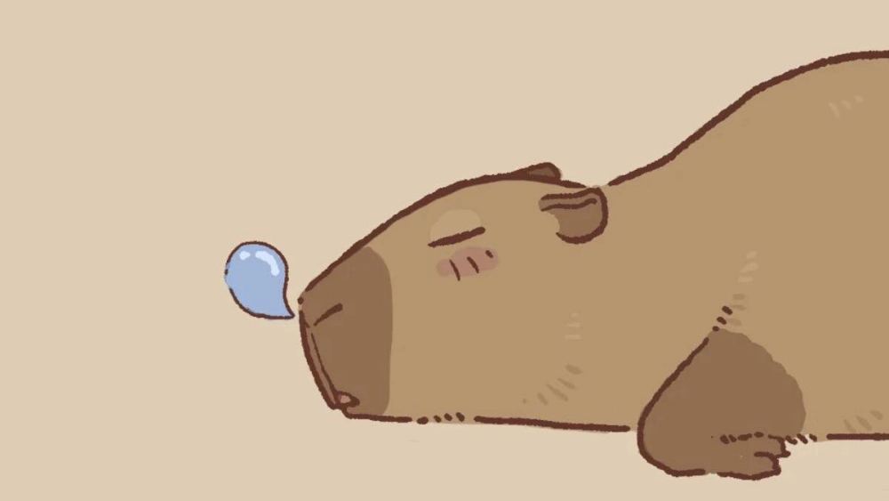 Bộ avatar ảnh capybara chibi cute đáng yêu