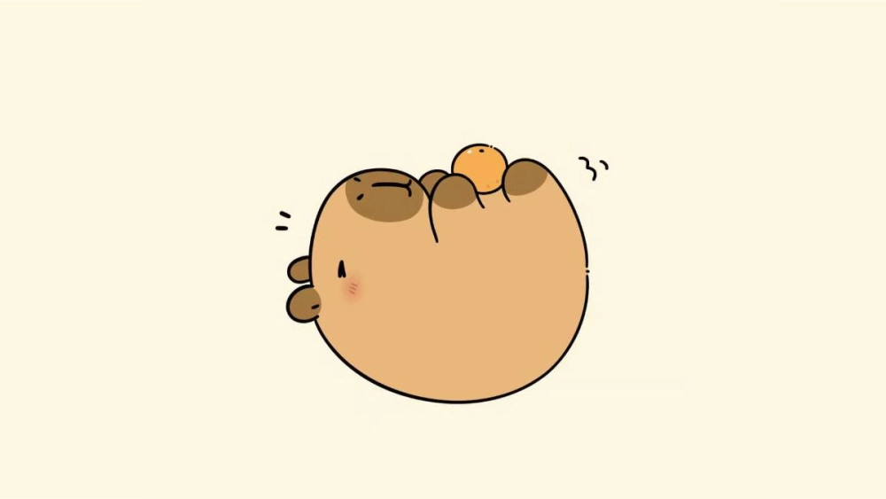 Thưởng thức avatar chibi chibi avatar hình nền capybara cute ngộ nghĩnh