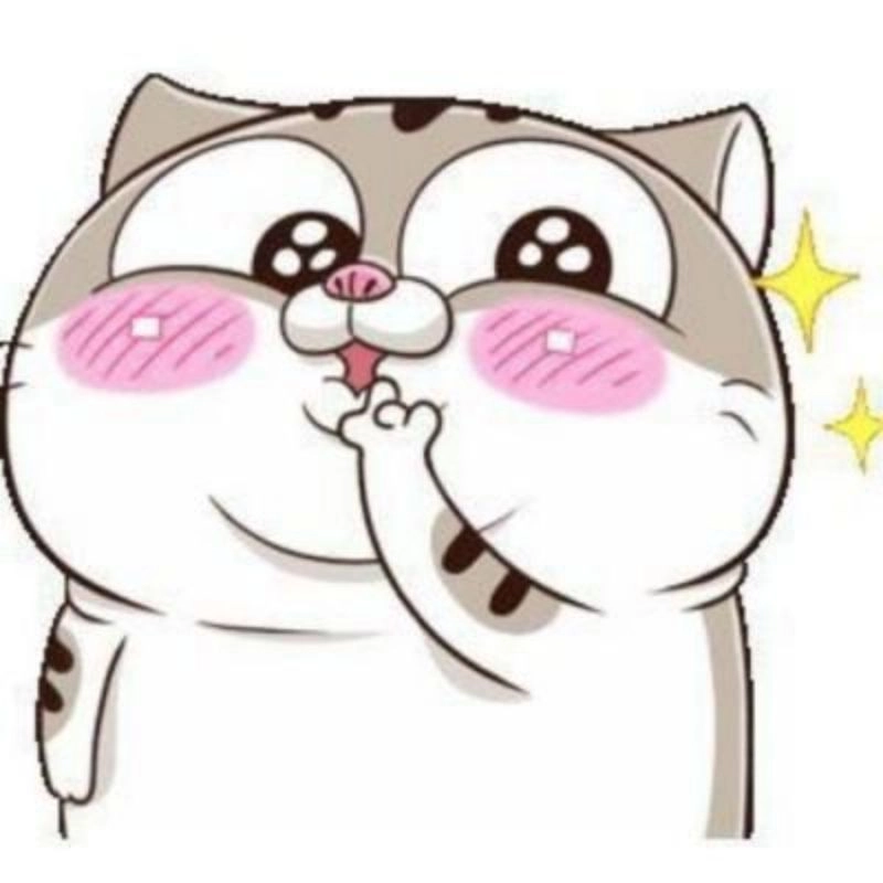 Avatar dễ thương cute mèo chibi mập đáng yêu không cưỡng nổi