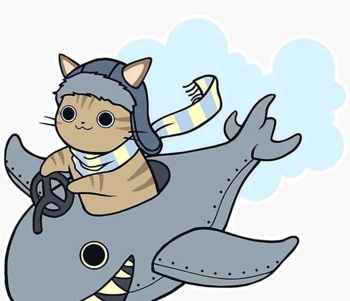 Tìm hiểu mọi thứ về cá mập chibi cực hot