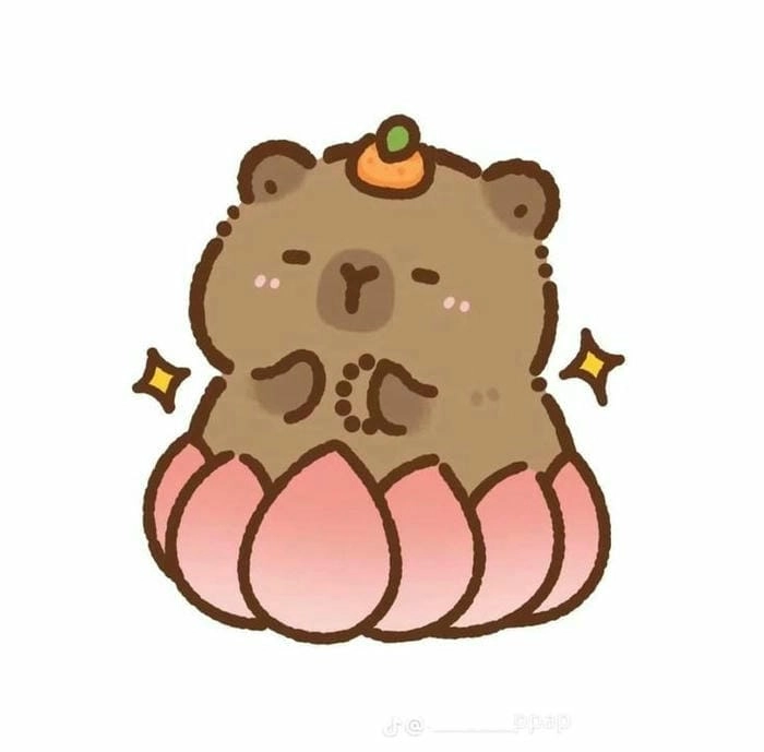 Bộ sưu tập capybara meme chibi độc lạ