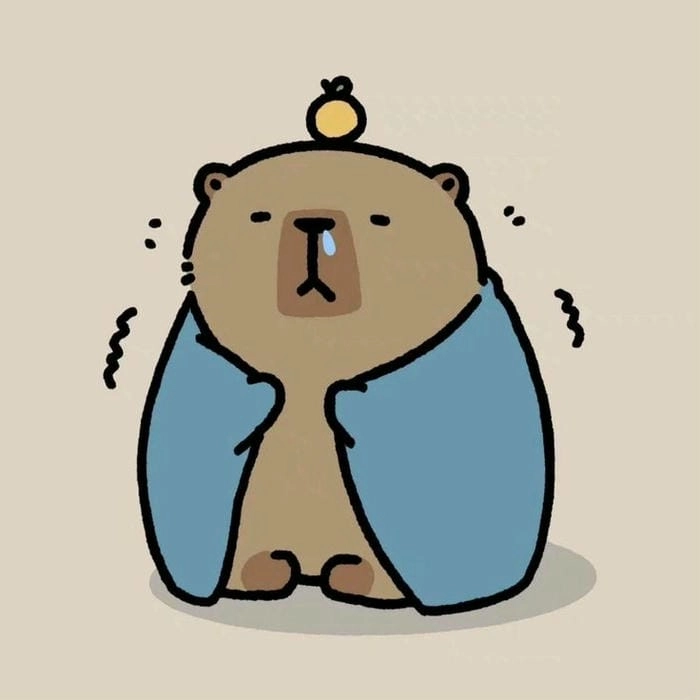 Làm mới với capybara chibi avatar dễ thương