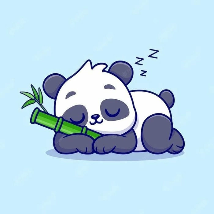 Chibi cute chibi gấu trúc với vẻ ngoài siêu đáng yêu
