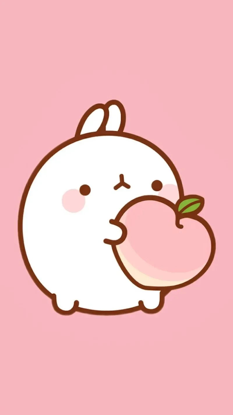 Hello kitty thỏ cute hình chibi khiến fan không thể rời mắt