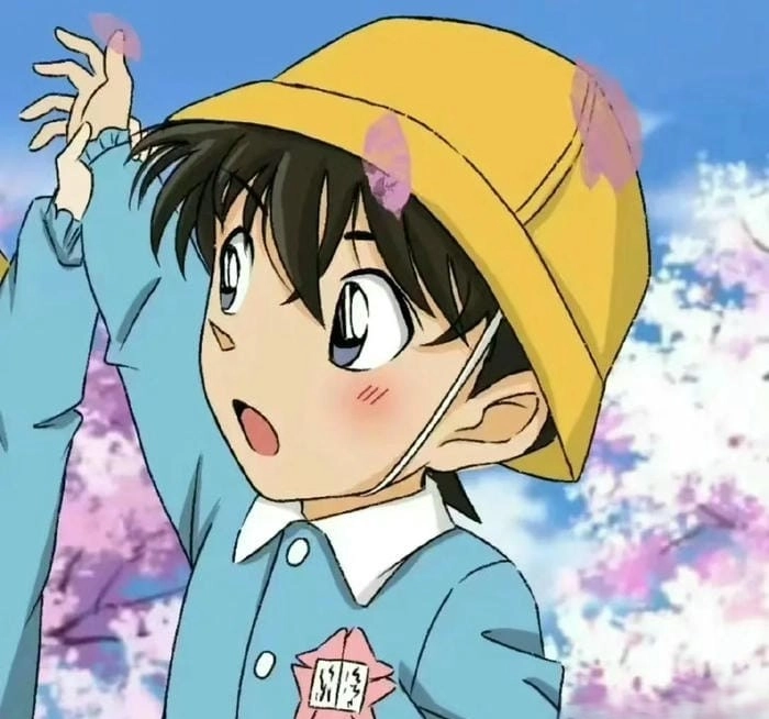 Tải ngay conan chibi ảnh conan cute siêu nét