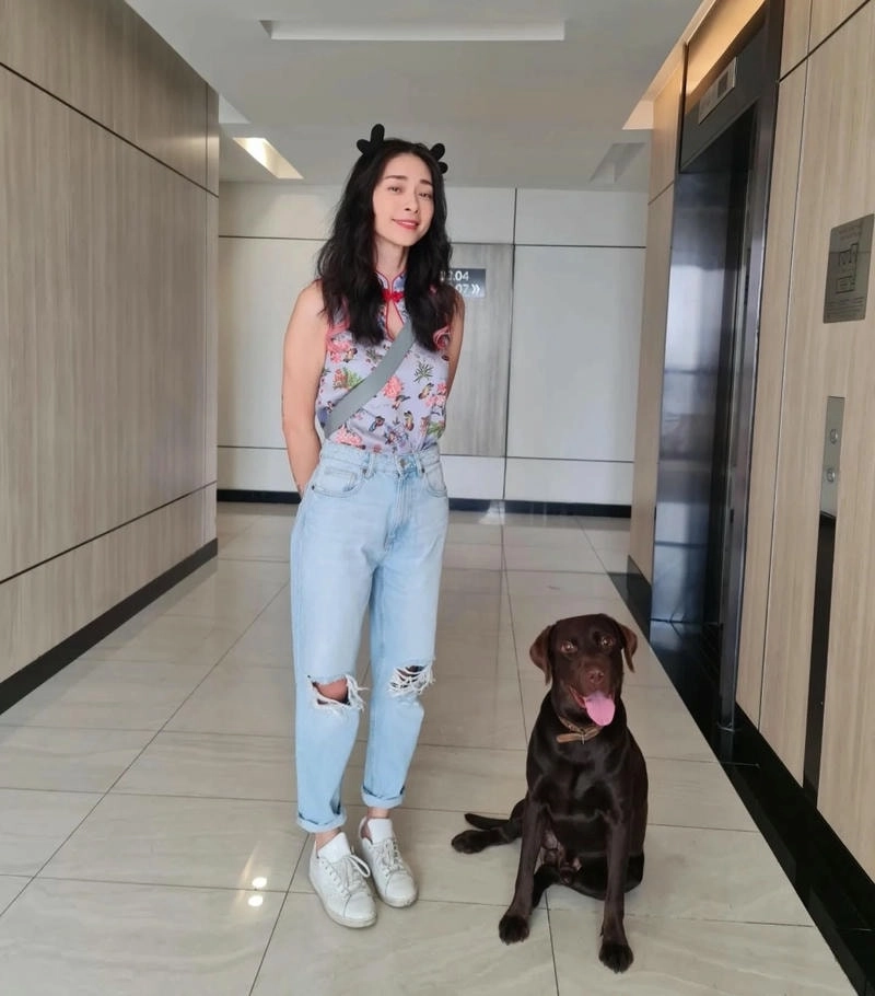 Thực hư tin đồn Ngô Thanh Vân bị bắt lan nhanh