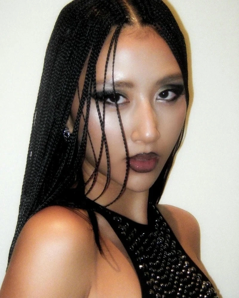 Những ồn ào xoay quanh Quỳnh Anh Shyn