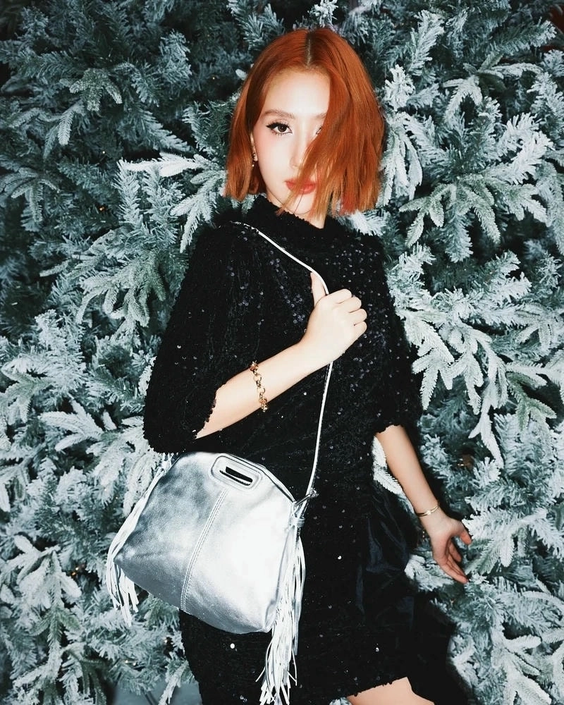 Trình độ học vấn của Quỳnh Anh Shyn