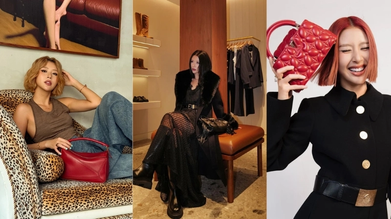 Tiểu sử của Quỳnh Anh Shyn đầy bất ngờ