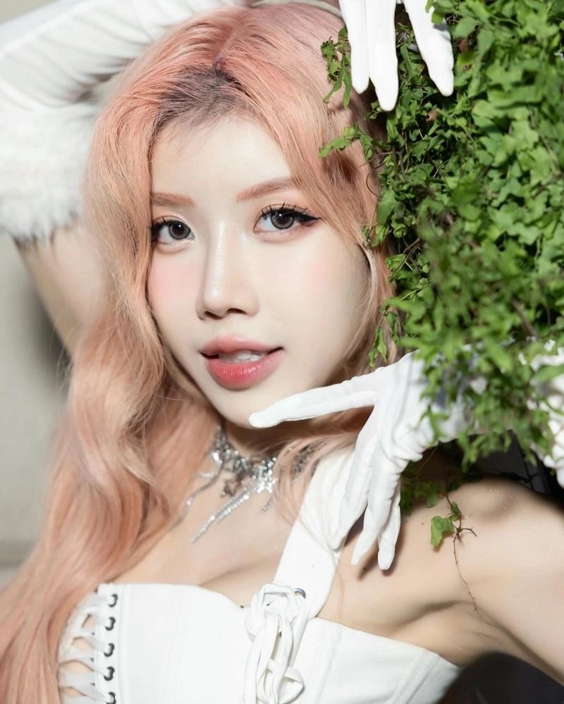 Những ca khúc hay Bài hát của Trang Pháp