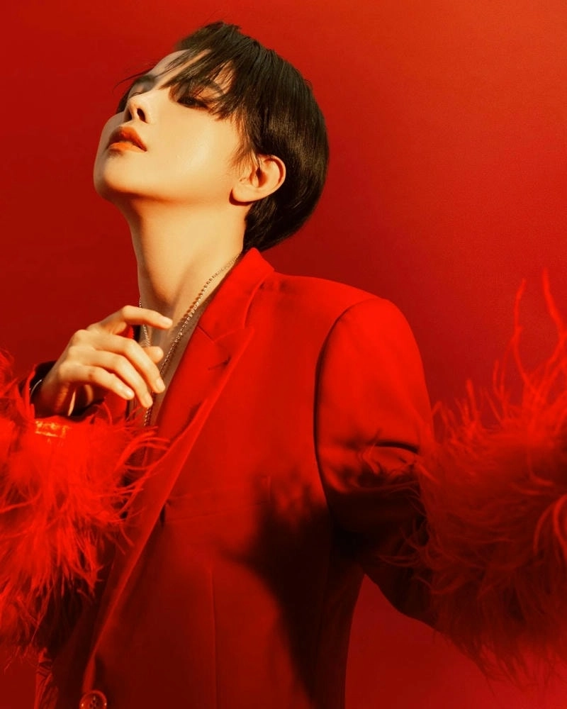 Từng là Vũ Cát Tường lyrics đầy ý nghĩa