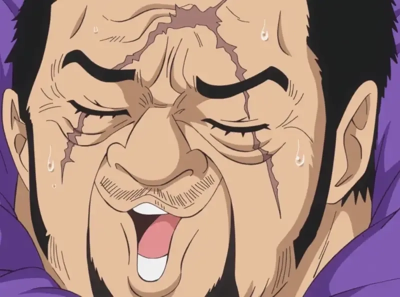 Cú va chạm kiếm sĩ Fujitora vs Zoro