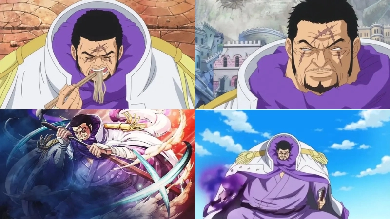 Nhân vật Fujitora là ai trong One Piece