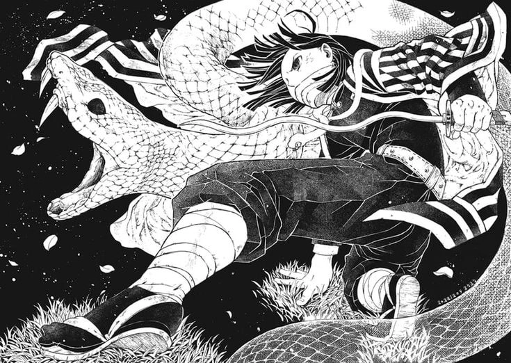 Khám phá bộ sưu tập Iguro Obanai Pinterest