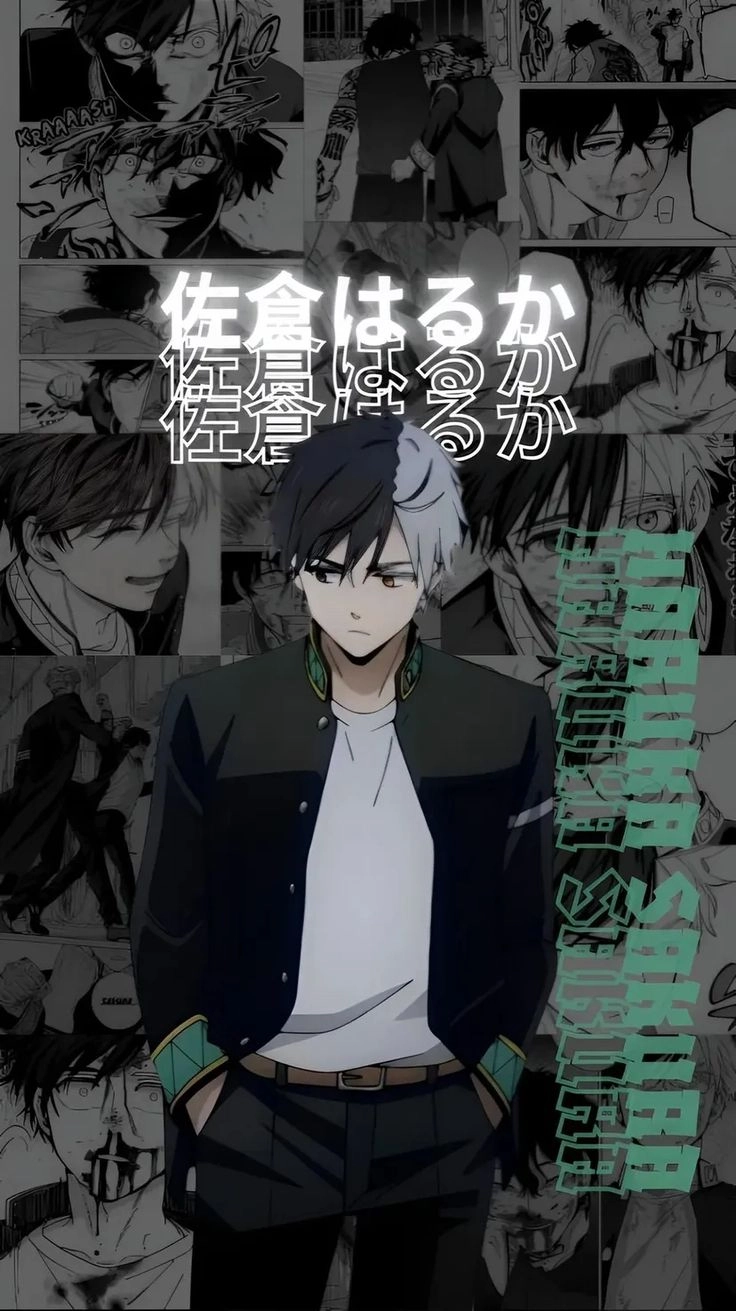 Thông tin chiều cao Sakura Haruka cao bao nhiêu