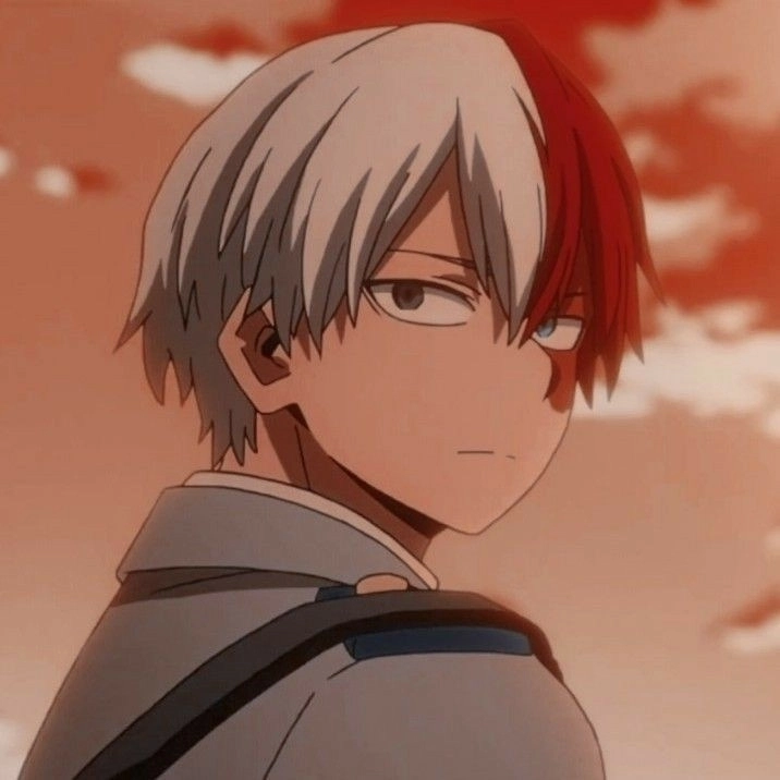 Bộ sưu tập hình vẽ Shoto Todoroki fanart