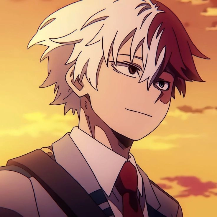 Nhân vật chủ chốt trong My Hero Academia Shoto