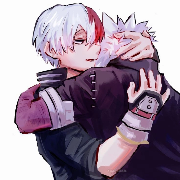 Tổ chức sinh nhật cho Shoto Todoroki birthday