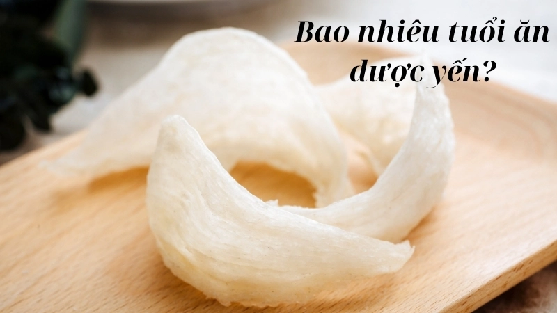 Bao nhiêu tuổi ăn được yến?