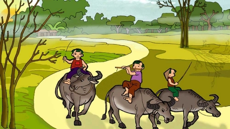 Ý nghĩa của những bài ca dao về con trâu