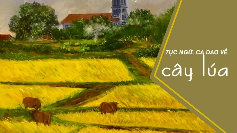 Các bài ca dao về lúa phổ biến