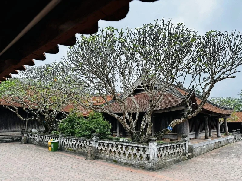 Nét đẹp cổ kính khó quên tại Chùa Keo