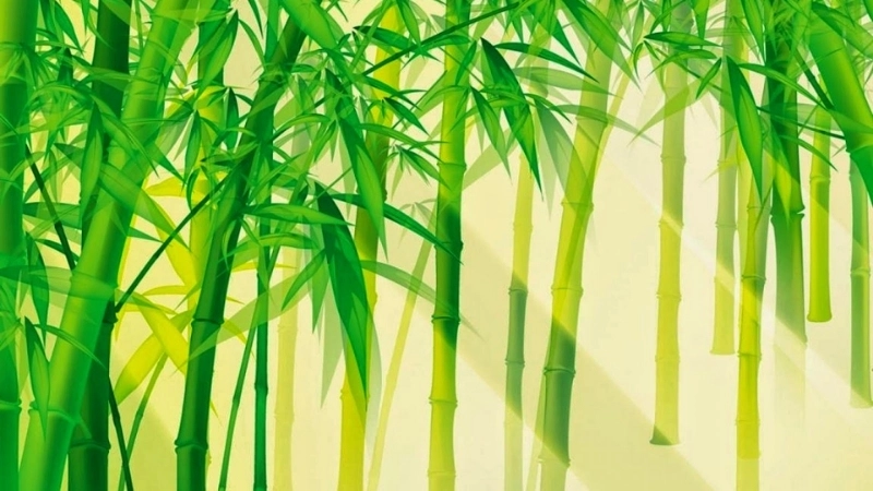 Ý nghĩa của những câu ca dao về cây tre