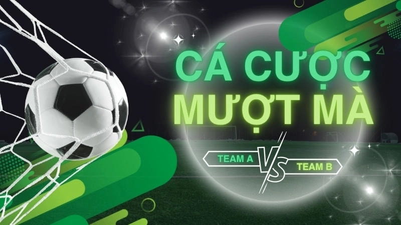  Kèo live tại SV368 cập nhật nhanh, hỗ trợ cược chuẩn.