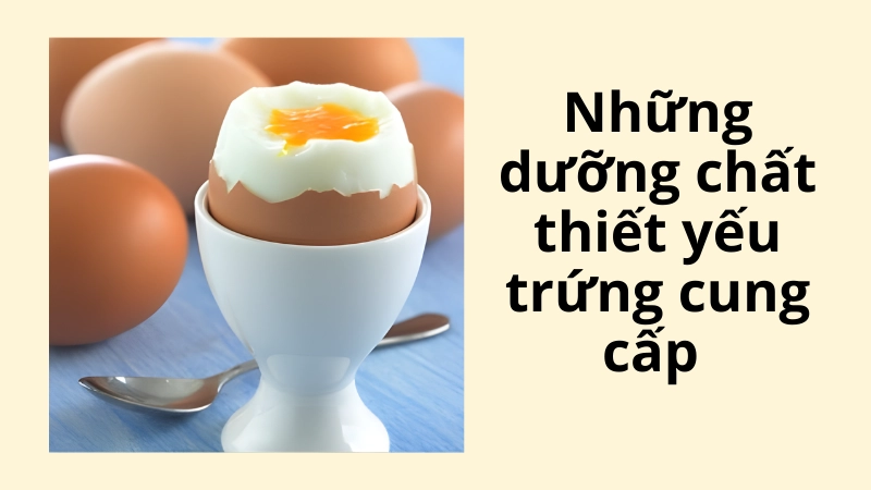  Thành phần dinh dưỡng đa dạng trong trứng giúp tăng đề kháng