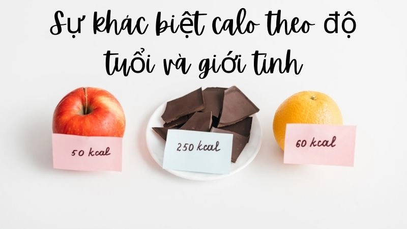 Sự khác biệt calo theo độ tuổi và giới tính