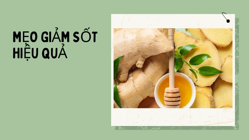 Mẹo giảm sốt hiệu quả bằng nguyên liệu sẵn có