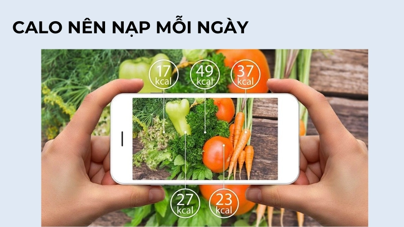 Nên ăn bao nhiêu calo 1 ngày là hợp lý?