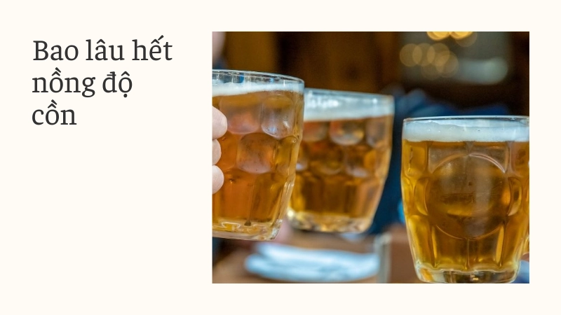 Thời gian hết nồng độ cồn sau khi uống rượu bia