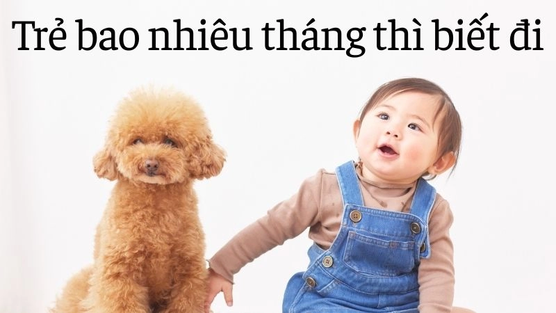Độ tuổi vàng để bé bắt đầu những bước đi đầu tiên